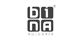 Bina_small_icon